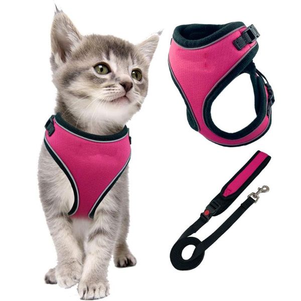 cat collars & leads no pull vest escape proof harness with leash, adjustable walking jackets, padded
cat collars & leads no pull vest escape proof harness with leash, adjustable walking jackets, padded