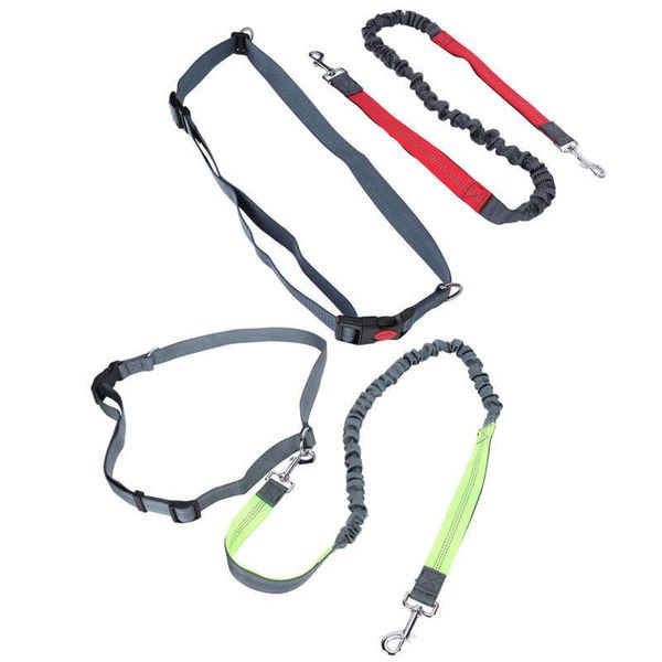 cat collars & leads pet traction rope stable outdoor nylon for small dogs big 
cat collars & leads pet traction rope stable outdoor nylon for small dogs big