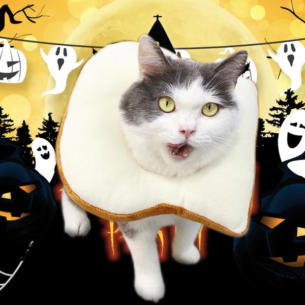 dog apparel pet dogs cats headgear creative toast costume soft bread slice circle collar po props decoration xs/s/m/l/xl/xxl
dog apparel pet dogs cats headgear creative toast costume soft bread slice circle collar po props decoration xs/s/m/l/xl/xxl