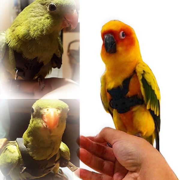 other bird supplies r9jc parrot leash adjustable harness pets anti flying outdoor training lead rope
other bird supplies r9jc parrot leash adjustable harness pets anti flying outdoor training lead rope