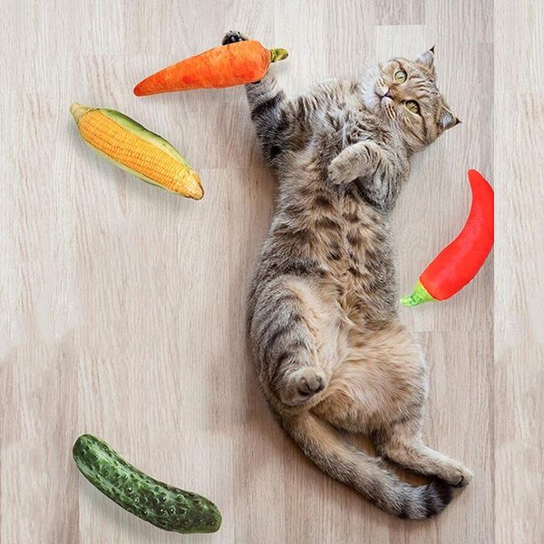 pet supply dog toy carrot corn cucumber shape puppy chew toys teath cleaning outdoor fun training supplies cat
pet supply dog toy carrot corn cucumber shape puppy chew toys teath cleaning outdoor fun training supplies cat