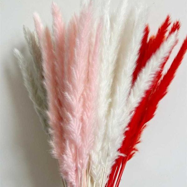 decorative flowers & wreaths 15pc/set small reed natural dried pampas grass phragmites artificial plant for wedding living room flower bunch
decorative flowers & wreaths 15pc/set small reed natural dried pampas grass phragmites artificial plant for wedding living room flower bunch