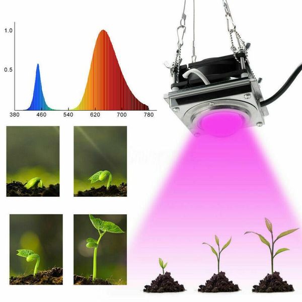 full spectrum cob grow light 60w clip-on led powered phyto lamp deskplant growth lighting for indoor flowers lights
full spectrum cob grow light 60w clip-on led powered phyto lamp deskplant growth lighting for indoor flowers lights
