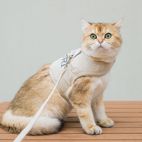 dog collars & leashes all season cat harness leash set petvest with mesh padded for small puppy dogs chihuahua yorkies
dog collars & leashes all season cat harness leash set petvest with mesh padded for small puppy dogs chihuahua yorkies