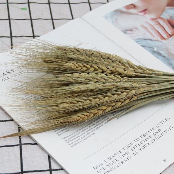 decorative flowers & wreaths 25pcs/set great dried flower realistic artificial decor grass decoration for home fake
decorative flowers & wreaths 25pcs/set great dried flower realistic artificial decor grass decoration for home fake