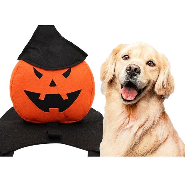 halloween pet pumpkin cloak transfiguration coat crossdresser costume lightweight dog suit comfortable festive party cat costumes
halloween pet pumpkin cloak transfiguration coat crossdresser costume lightweight dog suit comfortable festive party cat costumes