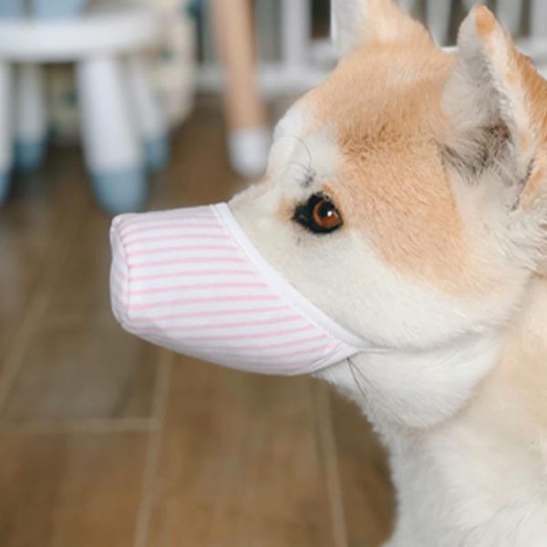 3pcs pet protective mask three-layer non-woven antifog breathable face for proboscis/short nosed dogs dog apparel
3pcs pet protective mask three-layer non-woven antifog breathable face for proboscis/short nosed dogs dog apparel