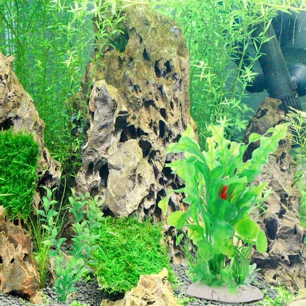 decorations 2pcs simulation aquatic plants realistic aquariums water grass decorative
decorations 2pcs simulation aquatic plants realistic aquariums water grass decorative