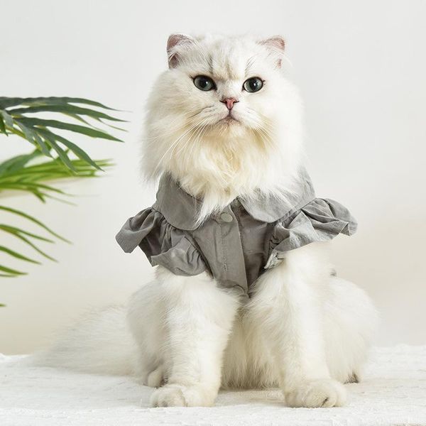 cat costumes autumn pet clothes kitten two-legged dog comfortable and breathable fashion
cat costumes autumn pet clothes kitten two-legged dog comfortable and breathable fashion