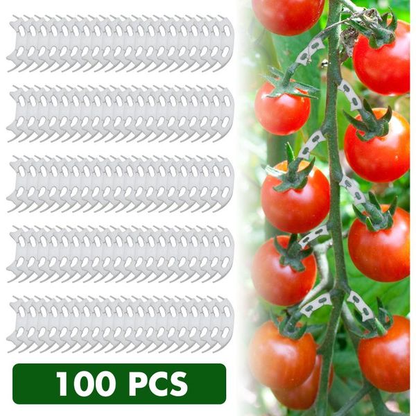 50/100 pcs lot vegetables tomato fixing clips to prevent bending support clamp fruit flower plant seedling reinforcement decorative flowers
50/100 pcs lot vegetables tomato fixing clips to prevent bending support clamp fruit flower plant seedling reinforcement decorative flowers