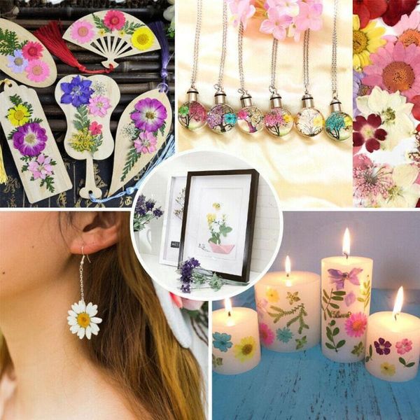 decorative flowers & wreaths dried plants diy material package for candle fan face flower sticker epoxy decoration group pendant craft press
decorative flowers & wreaths dried plants diy material package for candle fan face flower sticker epoxy decoration group pendant craft press