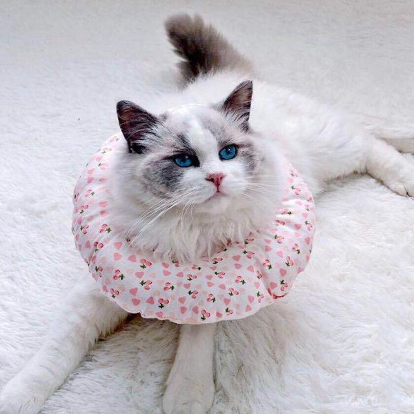dog collars & leashes pets neck ring protection collar printed pet elizabeth soft cotton cat adjustable wound healing prevent bite
dog collars & leashes pets neck ring protection collar printed pet elizabeth soft cotton cat adjustable wound healing prevent bite
