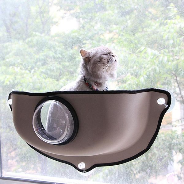 cat beds & furniture creative transparent cover hammock window bed lounger sofa cushion hanging shelf seat for ferret chinchilla
cat beds & furniture creative transparent cover hammock window bed lounger sofa cushion hanging shelf seat for ferret chinchilla