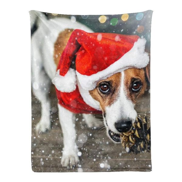 Christmas Dog Blanket Super Soft for Boy & Girl, Custom Fleece Blanket Baby Shower Birthday Wedding Gift 30x40 Inches
Christmas Dog Blanket Super Soft for Boy & Girl, Custom Fleece Blanket Baby Shower Birthday Wedding Gift 30x40 Inches