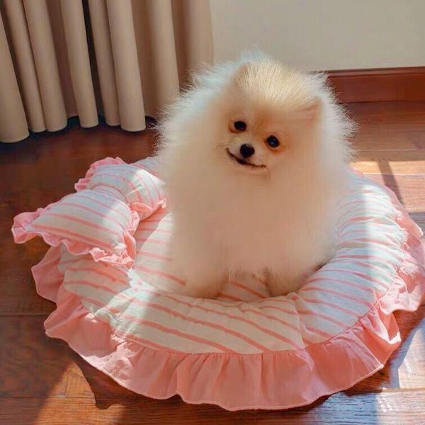 cat beds & furniture round dog mat sofa pet bed sleep teddy puppy soft house fall winter nest kennel te
cat beds & furniture round dog mat sofa pet bed sleep teddy puppy soft house fall winter nest kennel te
