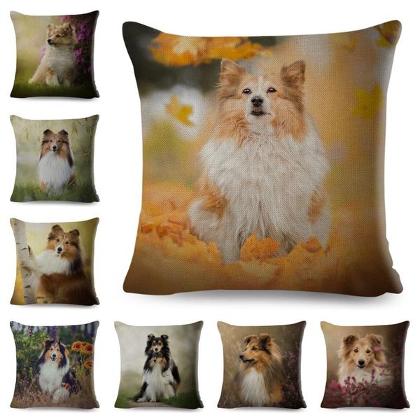 cushion/decorative pillow cute pet animal dog printed pillowcase decor shetland sheepdog cushion cover for sofa home car linen 45*45cm case
cushion/decorative pillow cute pet animal dog printed pillowcase decor shetland sheepdog cushion cover for sofa home car linen 45*45cm case