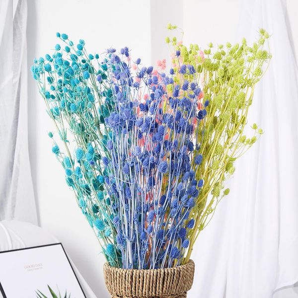 80g natural preserved dried flower bouquet valentine fruit eryngium christmas art globe home wedding decoration decorative flowers & wreaths
80g natural preserved dried flower bouquet valentine fruit eryngium christmas art globe home wedding decoration decorative flowers & wreaths