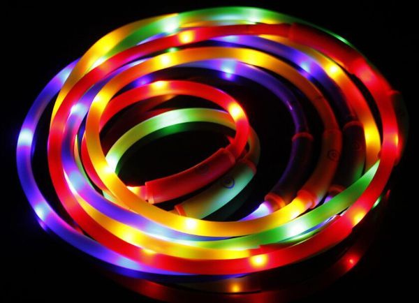 circular tube flash pet collars usb dog collar & leashes
circular tube flash pet collars usb dog collar & leashes