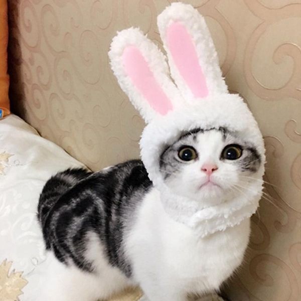 funny pet dog cat cap costume warm hat year party christmas cosplay accessories po headwear costumes
funny pet dog cat cap costume warm hat year party christmas cosplay accessories po headwear costumes
