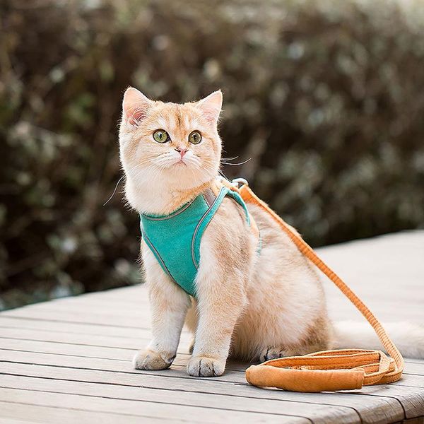 cat collars & leads breathable harness and leash adjustable pet clothes kitten puppy dogs vest easy control reflective
cat collars & leads breathable harness and leash adjustable pet clothes kitten puppy dogs vest easy control reflective