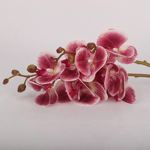 decorative flowers & wreaths european flower home decoration silk two-headed feel phalaenopsis moisturizing 3d printing artificial
decorative flowers & wreaths european flower home decoration silk two-headed feel phalaenopsis moisturizing 3d printing artificial