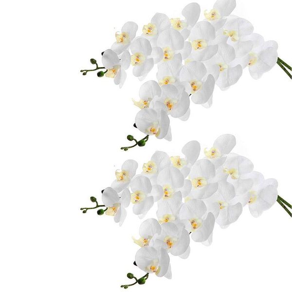 decorative flowers & wreaths 4pcs 38inch artificial real contact orchids 9heads latex phalaenopsis stems for diy wedding centerpieces
decorative flowers & wreaths 4pcs 38inch artificial real contact orchids 9heads latex phalaenopsis stems for diy wedding centerpieces