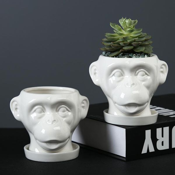 planters & pots hericium shape ceramic flowerpot home living room deskgreen plants succulents art flower arrangement vase decoration
planters & pots hericium shape ceramic flowerpot home living room deskgreen plants succulents art flower arrangement vase decoration