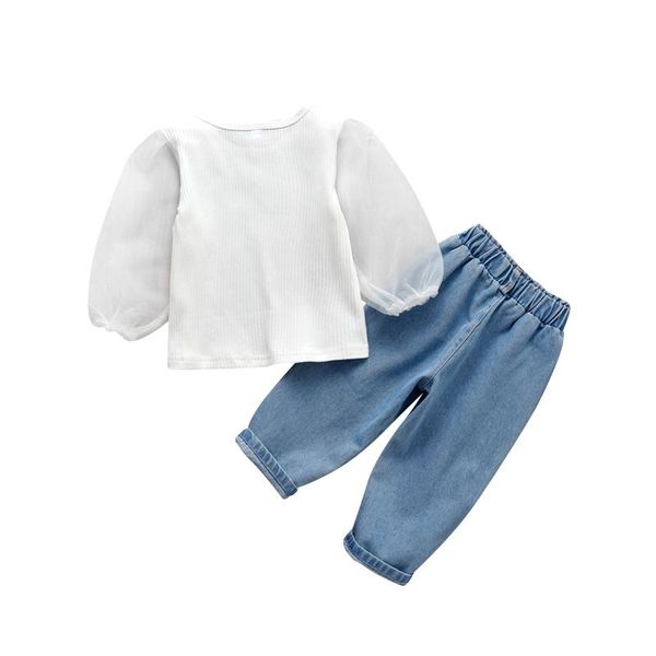 clothing sets 1-6y toddler kids girl clothes mesh puff long sleeve pullover solid denim pant 2pcs, White
clothing sets 1-6y toddler kids girl clothes mesh puff long sleeve pullover solid denim pant 2pcs, White