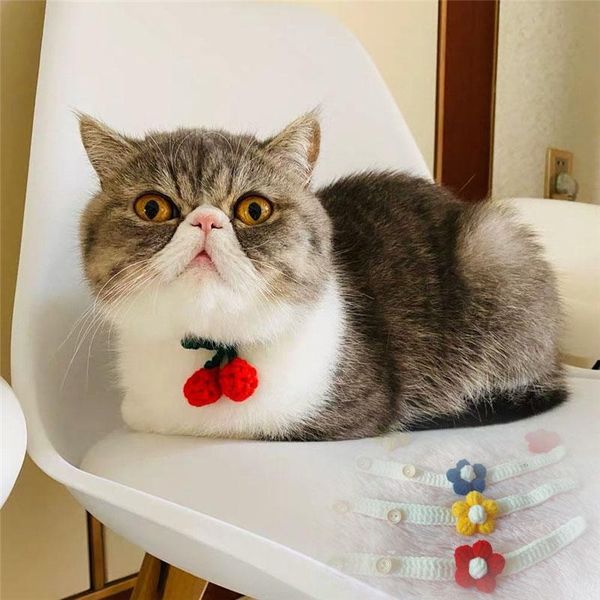 fashion knitted pet collars adjustable dog cat necklace puppy kitty cute kawaii fruit/flower accessories & leads
fashion knitted pet collars adjustable dog cat necklace puppy kitty cute kawaii fruit/flower accessories & leads