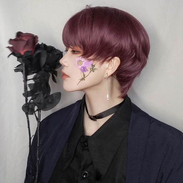 synthetic wigs cosplay high temperature resistant fiber male short straight hair fluffy natural purple wig female, Black
synthetic wigs cosplay high temperature resistant fiber male short straight hair fluffy natural purple wig female, Black