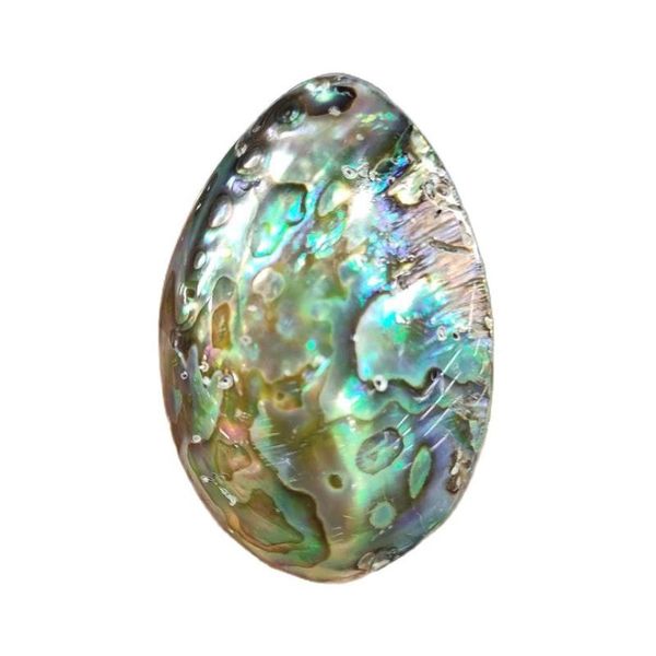 decorative objects & figurines 2pcs 4-5cm beautiful natural abalone shell tank aquarium half face home crafts lucky decoration collection re
decorative objects & figurines 2pcs 4-5cm beautiful natural abalone shell tank aquarium half face home crafts lucky decoration collection re
