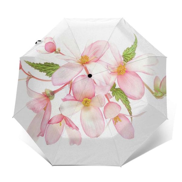 umbrellas peach umbrella colorful uv protection automatic print lightweight summer
umbrellas peach umbrella colorful uv protection automatic print lightweight summer