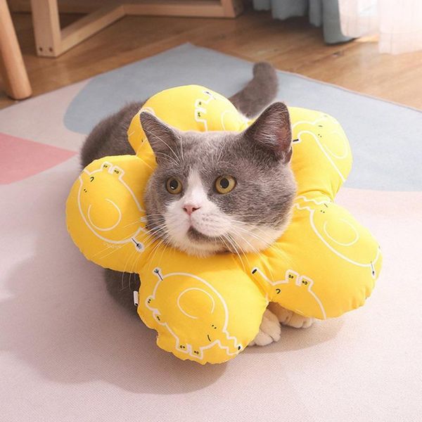 cat collars & leads sunflower elizabethan collar natural cotton soft comfortable with elastic buckle pets sleeping moving pillow pet supplie
cat collars & leads sunflower elizabethan collar natural cotton soft comfortable with elastic buckle pets sleeping moving pillow pet supplie