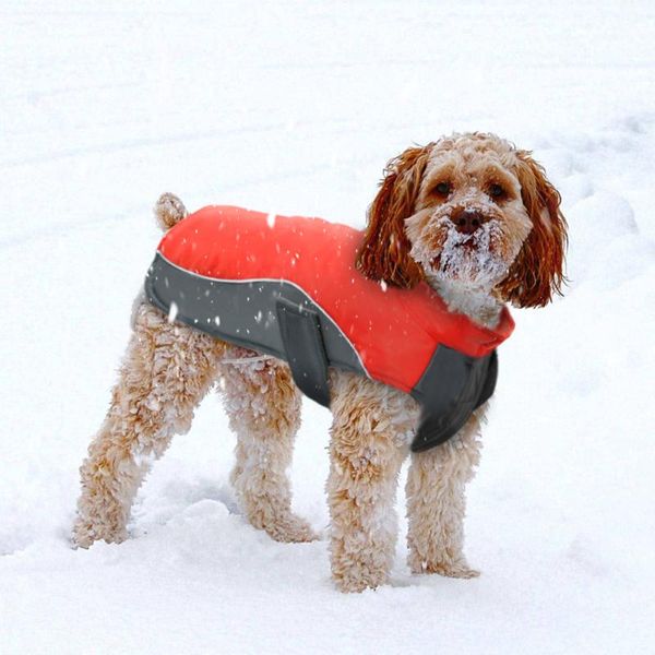 dog apparel waterproof winter coat warm puppy jacket vest pet clothes clothing for small medium large dogs ropa para perros
dog apparel waterproof winter coat warm puppy jacket vest pet clothes clothing for small medium large dogs ropa para perros