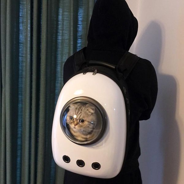 cat carriers,crates & houses fashion portable carrier bag breathable transport box backpack durable mochila gatos pet accessories di50m
cat carriers,crates & houses fashion portable carrier bag breathable transport box backpack durable mochila gatos pet accessories di50m