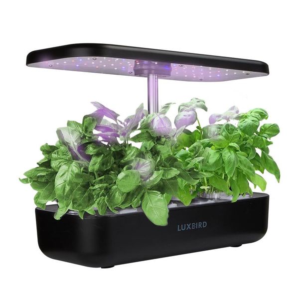 planters & pots inkbird hydroponics growing system intelligent home gardening germination tool with 36w led lights two grow modes nursery
planters & pots inkbird hydroponics growing system intelligent home gardening germination tool with 36w led lights two grow modes nursery