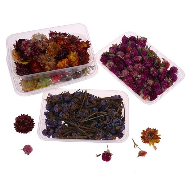 decorative flowers & wreaths 1box dried flower dry plants for candle epoxy resin pendant necklace jewelry making craft diy acce
decorative flowers & wreaths 1box dried flower dry plants for candle epoxy resin pendant necklace jewelry making craft diy acce