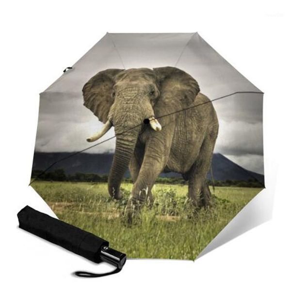 umbrellas wind resistant automatic tri-fold female male 8 bone umbrella light weigh waterproof sun printing rain tools1
umbrellas wind resistant automatic tri-fold female male 8 bone umbrella light weigh waterproof sun printing rain tools1
