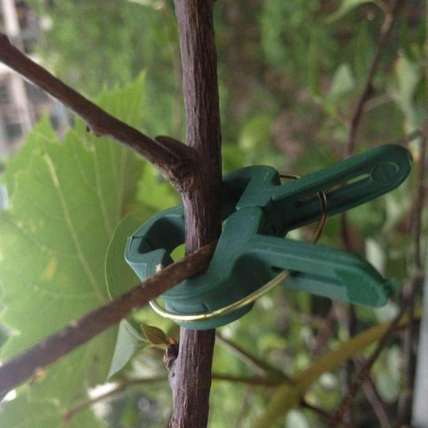other garden supplies 40pcs/set reusable plant support clips for greenhouse bracket vegetables flowers stem vines grape clamp fastener