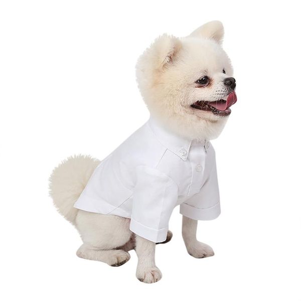 dog apparel trsnser shirt fashion pet costumes spring and fall breathable simple slim fit shirts clothings for dogs 19june17 p30
dog apparel trsnser shirt fashion pet costumes spring and fall breathable simple slim fit shirts clothings for dogs 19june17 p30