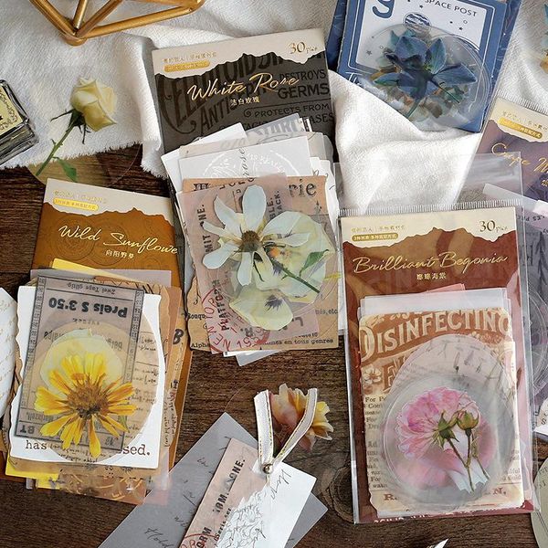 gift wrap 30pcs retro plant flower pet stickers decoration diary scrapbooking supplies creative diy stationery project 6 types
gift wrap 30pcs retro plant flower pet stickers decoration diary scrapbooking supplies creative diy stationery project 6 types