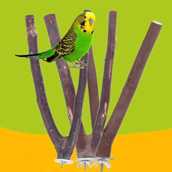 other bird supplies 3 pcs pet parrot wood fork tree branch stand rack squirrel hamster perches chew bite toys with material of
other bird supplies 3 pcs pet parrot wood fork tree branch stand rack squirrel hamster perches chew bite toys with material of