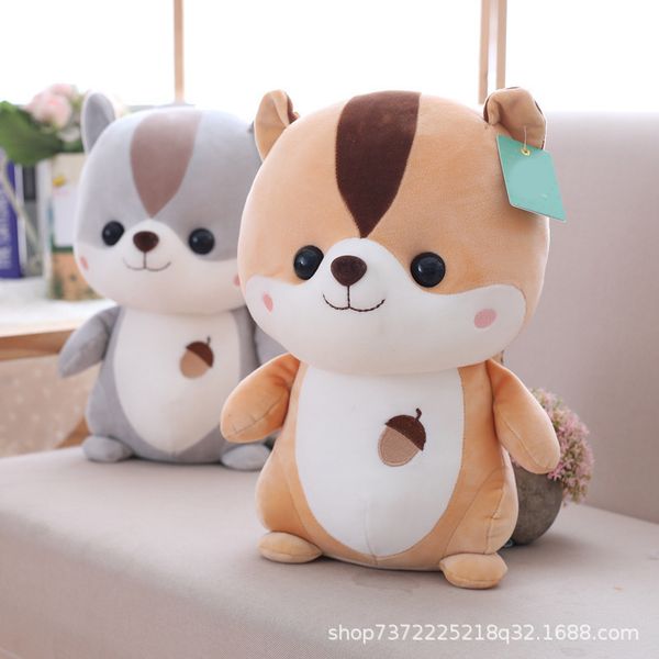 cute squirrel doll plush toy hamster children company presents to girls 
cute squirrel doll plush toy hamster children company presents to girls