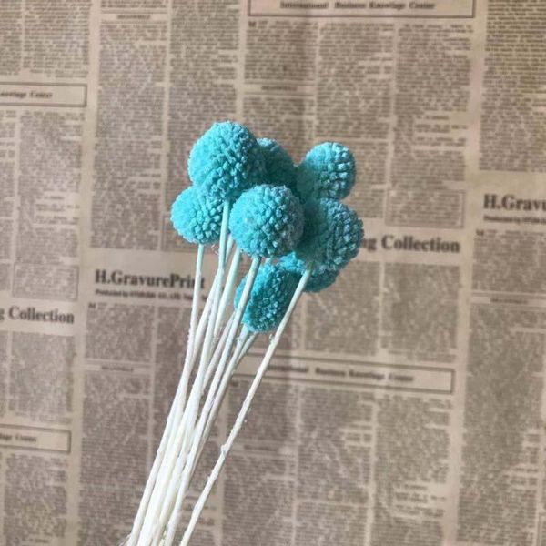 decorative flowers & wreaths 5 pieces head,30cm preserved ball,natural fresh eternell craspedia bouquets,forever gold orbs flower
decorative flowers & wreaths 5 pieces head,30cm preserved ball,natural fresh eternell craspedia bouquets,forever gold orbs flower