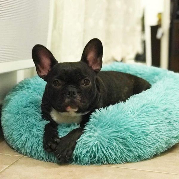 kennels & pens long plush super soft dog bed pet kennel round sleeping bag lounger cat house winter warm sofa basket for small medium large
kennels & pens long plush super soft dog bed pet kennel round sleeping bag lounger cat house winter warm sofa basket for small medium large