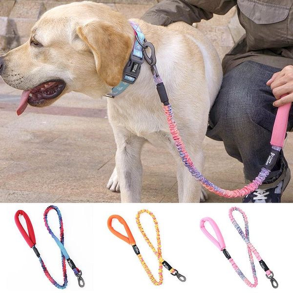 dog collars & leashes hoopet leash printed nylon pet rope for small medium dogs soft walking chihuahua
dog collars & leashes hoopet leash printed nylon pet rope for small medium dogs soft walking chihuahua