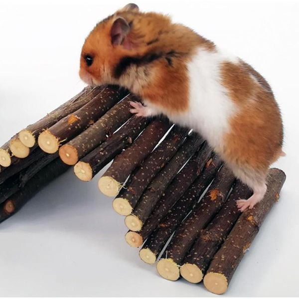 small animal supplies apple wooden arch bridge hamster dodging tunnel molar toy pet guinea pig
small animal supplies apple wooden arch bridge hamster dodging tunnel molar toy pet guinea pig