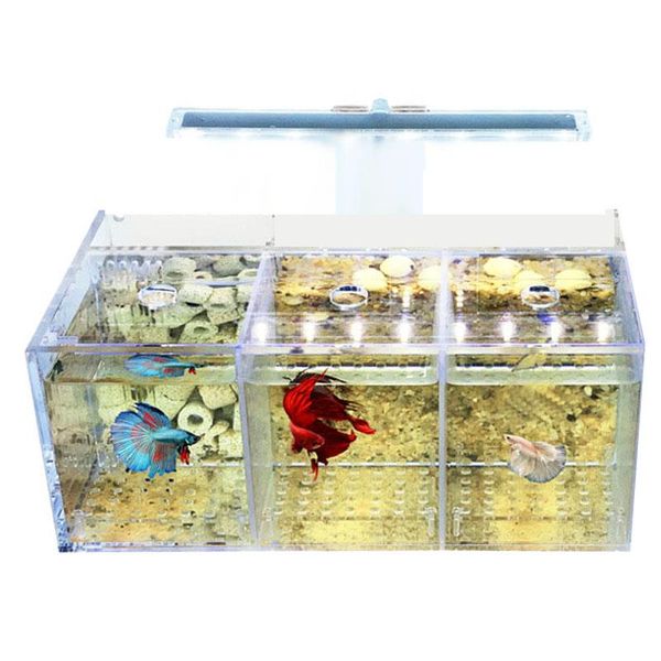 aquariums aquarium led acrylic betta fish tank set mini desklight water pump filters-triple
aquariums aquarium led acrylic betta fish tank set mini desklight water pump filters-triple