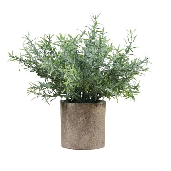 decorative flowers & wreaths simulation potted plants mini size pe material easy to durable home decoration for living room office hou
decorative flowers & wreaths simulation potted plants mini size pe material easy to durable home decoration for living room office hou