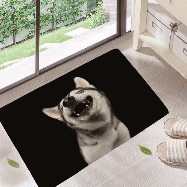 cushion/decorative pillow 40x60cm cute colorful pet dog siberian husky print carpets anti-slip floor mat outdoor rugs animal front door mats
cushion/decorative pillow 40x60cm cute colorful pet dog siberian husky print carpets anti-slip floor mat outdoor rugs animal front door mats
